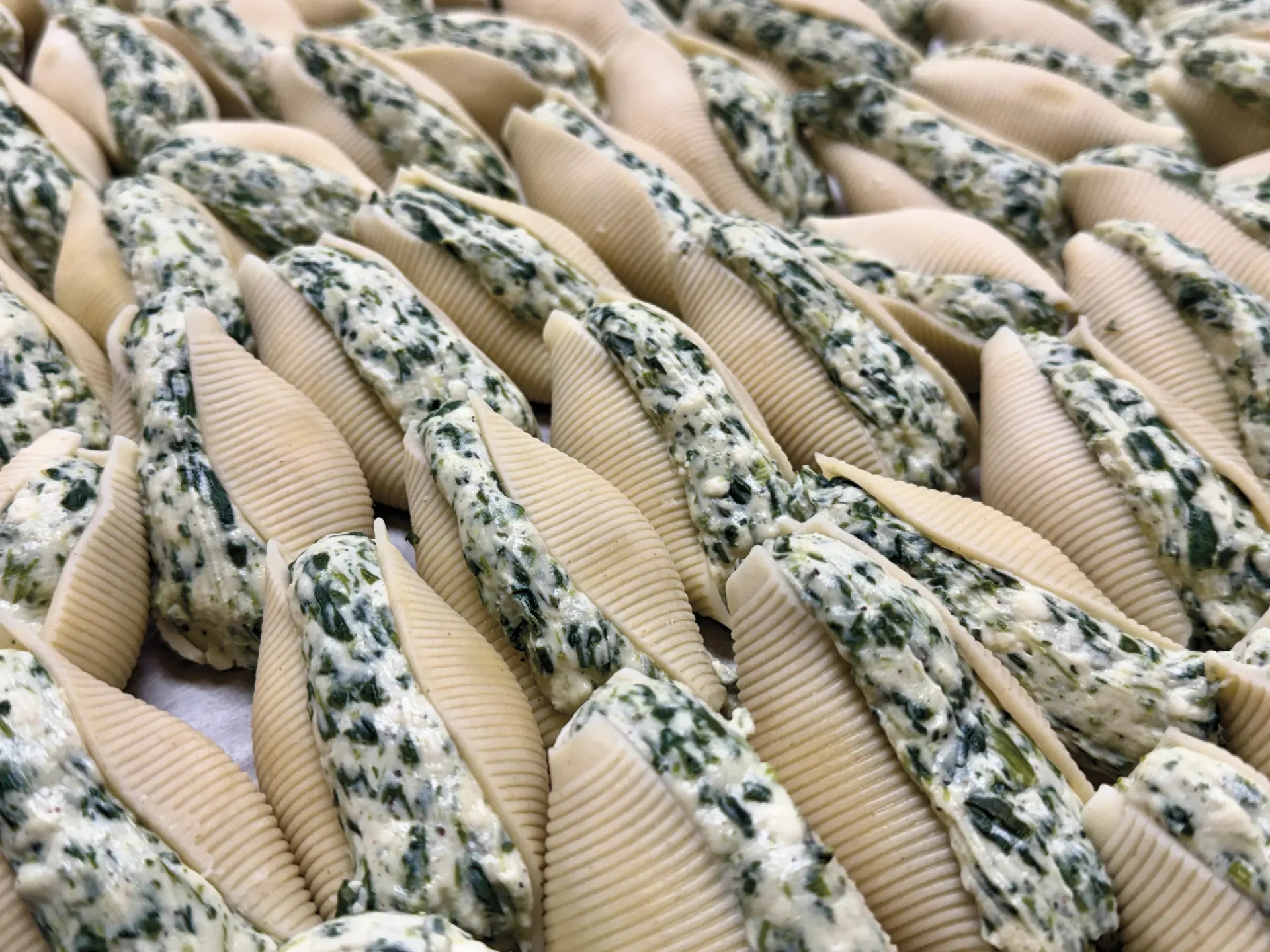 Fresh stuffed shells with spinach and ricotta from Angela's Kitchen